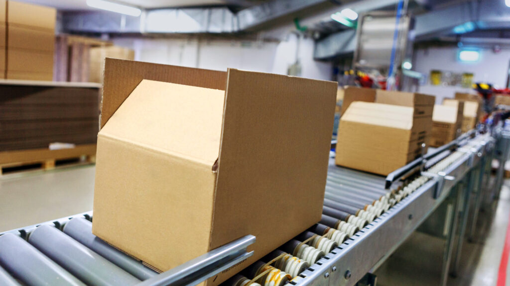 How-to-Reduce-Costs-on-Bulk-Packaging-Orders-Effectively